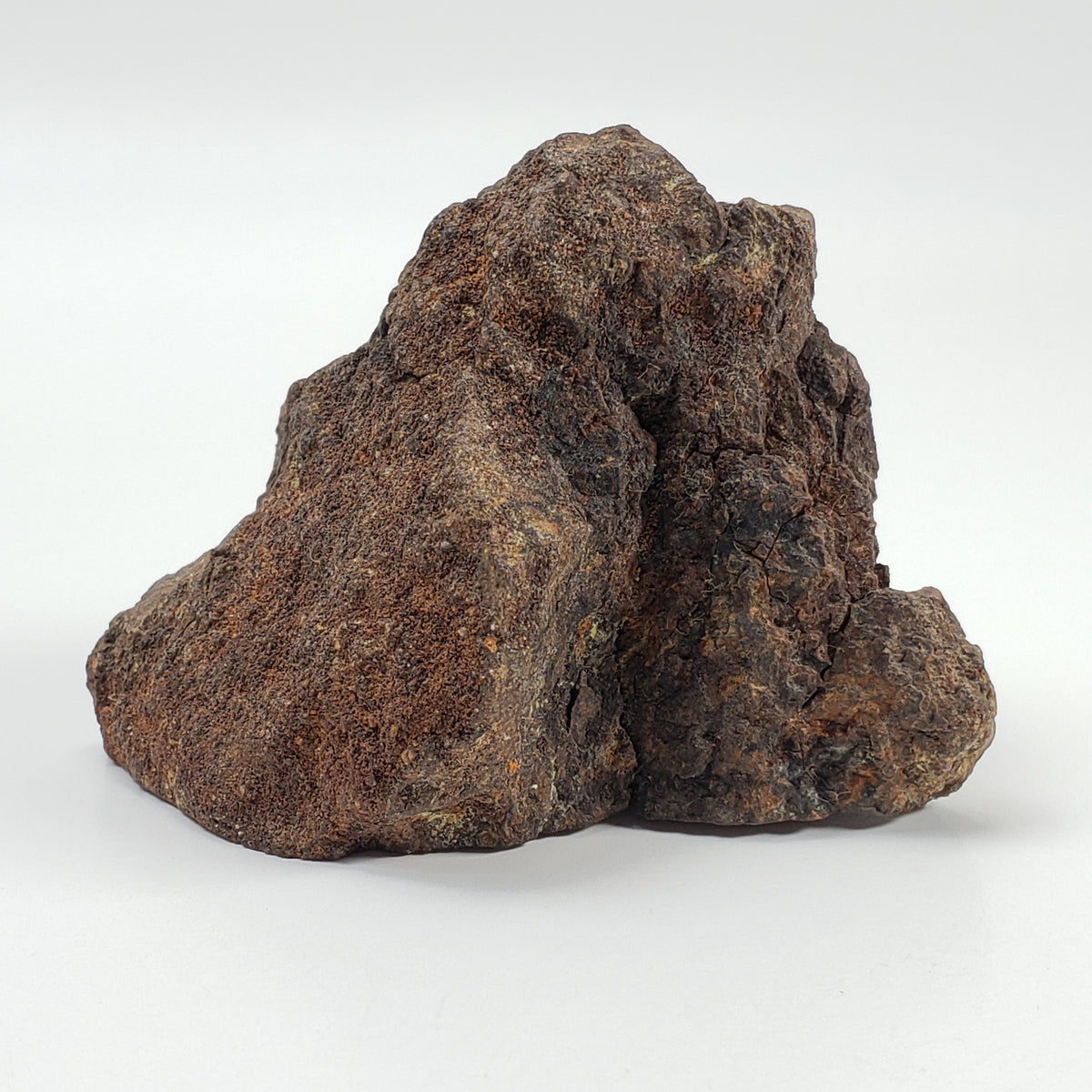 Northwest Africa NWA Meteorite | 153.87 Grams | End Cut | Sahara