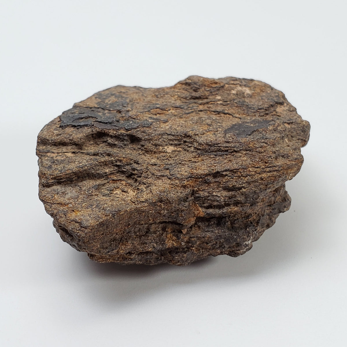  NWA 2965 Meteorite | 49.85 Grams | Individual | EL-Melt Rock | Fossil Paleomet 