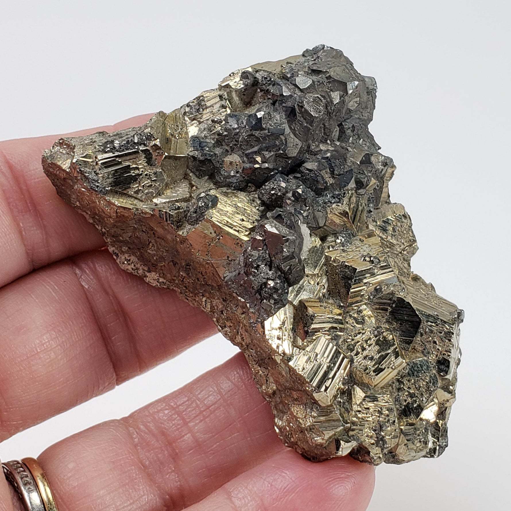  Pyrite and Tetrahedrite Cluster 117 Grams from Lima Peru 