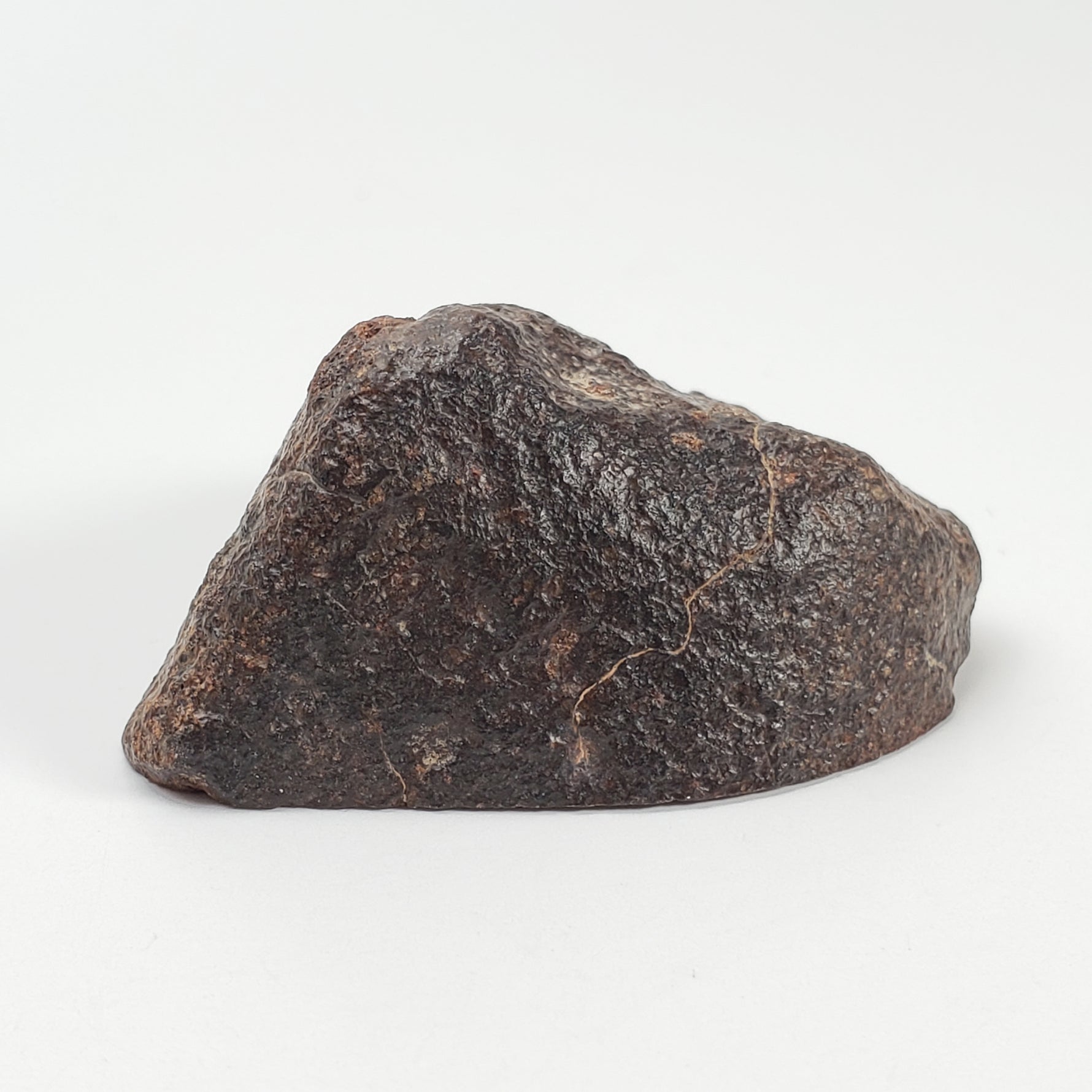 Northwest Africa NWA Meteorite | 44.5 Grams | End Cut | Sahara