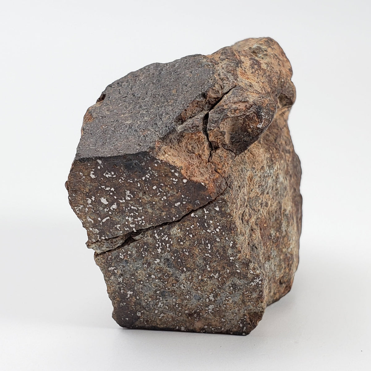 Northwest Africa NWA Meteorite | 52.7 Grams | Individual Cut Fragment | Sahara