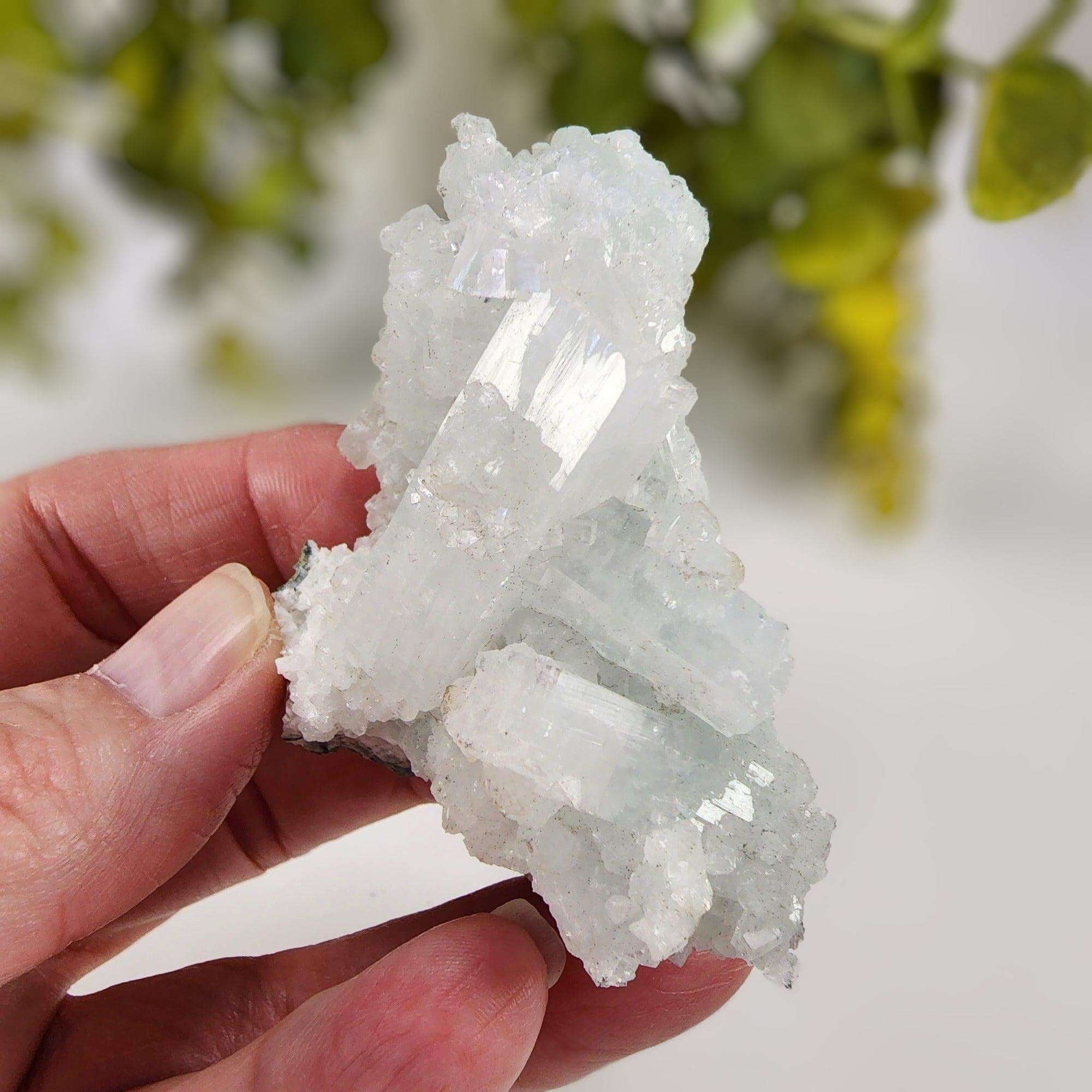  Apophyllite and Prehnite Cluster 86 grams from Mumbai, India 