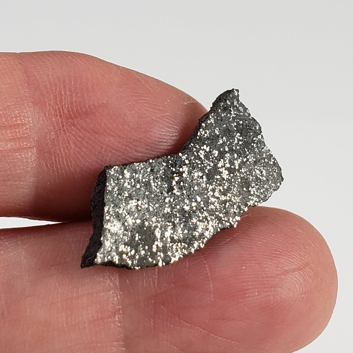  Spade Meteorite 2.1 Grams Part Slice H6 Chondrite Lamb County, Texas 