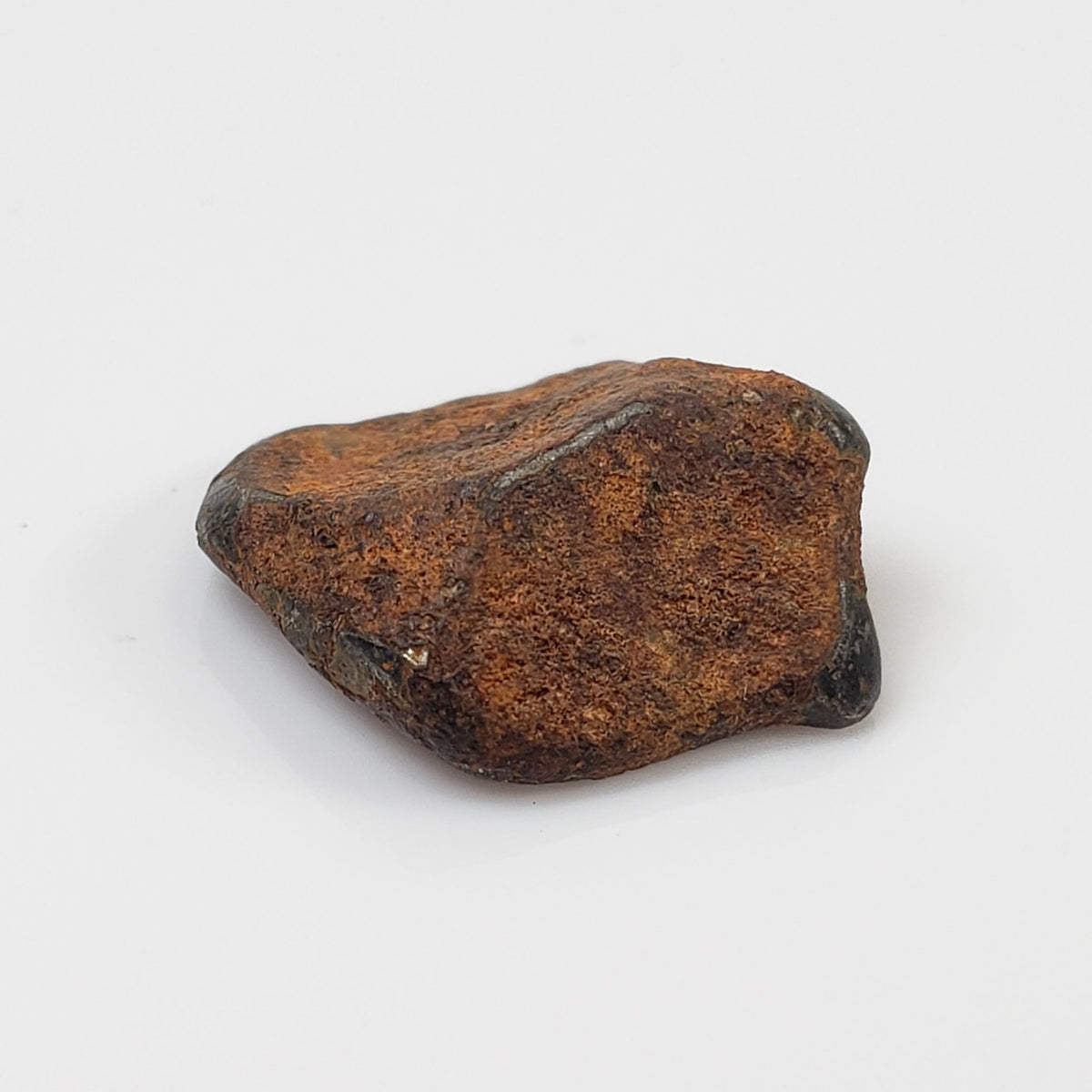   Taza NWA 859 Meteorite | 2.8 Gr | Iron Ungrouped | Morocco 