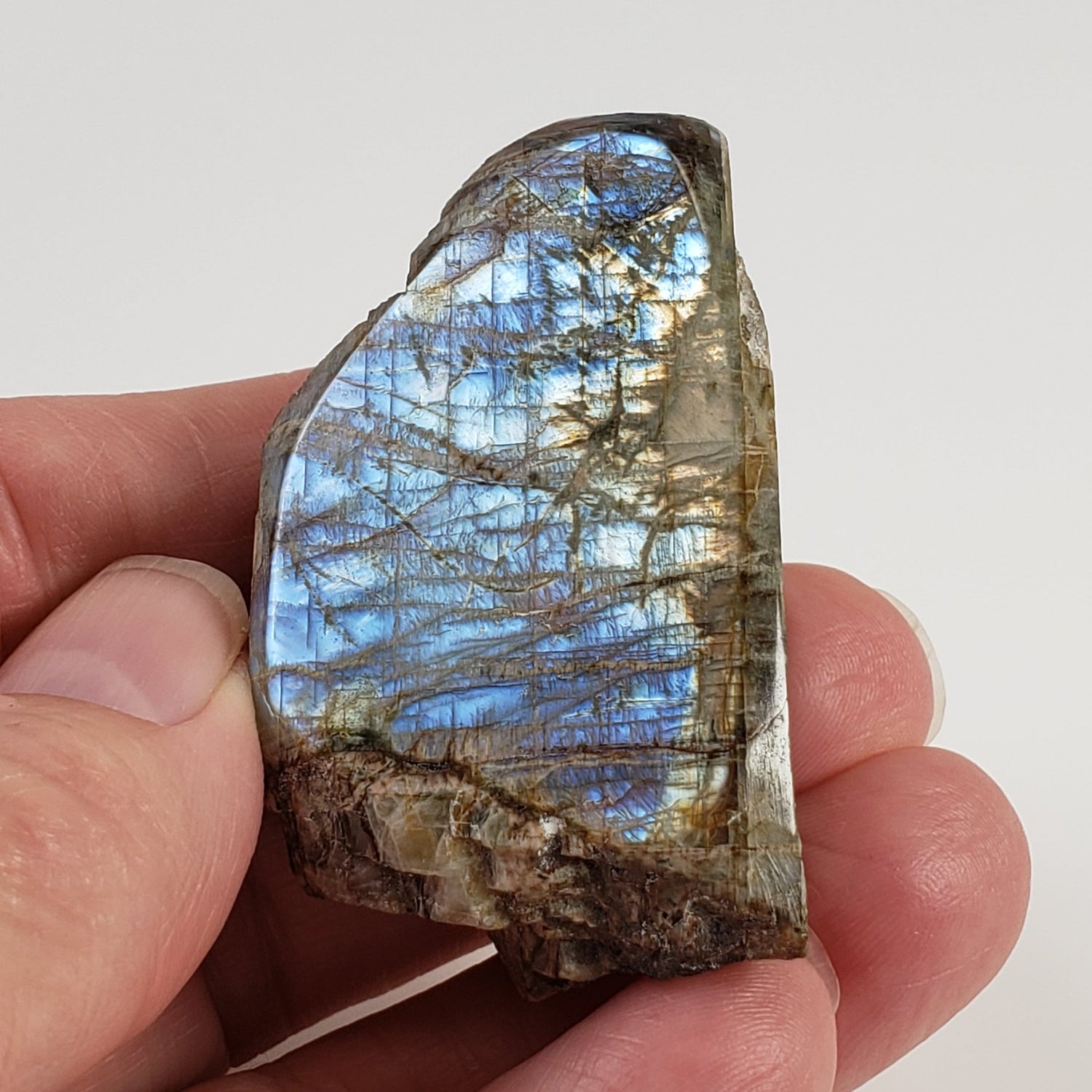 Canadian Labradorite | Polished Flat Stone | Natural Grey Rainbow | 39.6 | Quebec, Canada