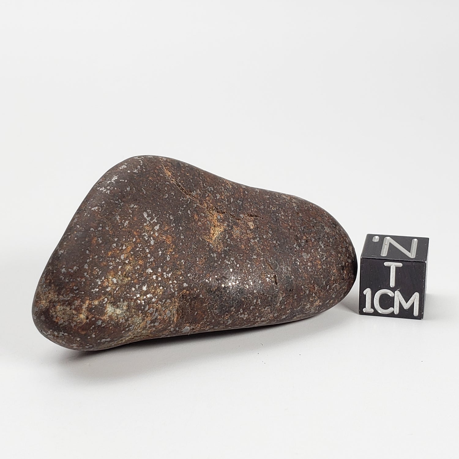 Northwest Africa NWA Meteorite | 40.8 Grams | Individual | Tumbled Meteorite | Sahara