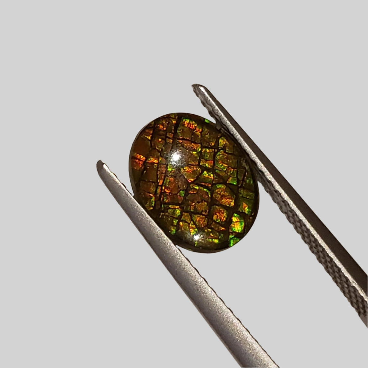 Ammolite Gem | Ammonite | Oval Cabochon | 10x8mm | Canada