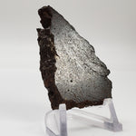  Dhofar 224 Meteorite 23.11 Grams Full Slice Rare H4 Chondrite Sahara 