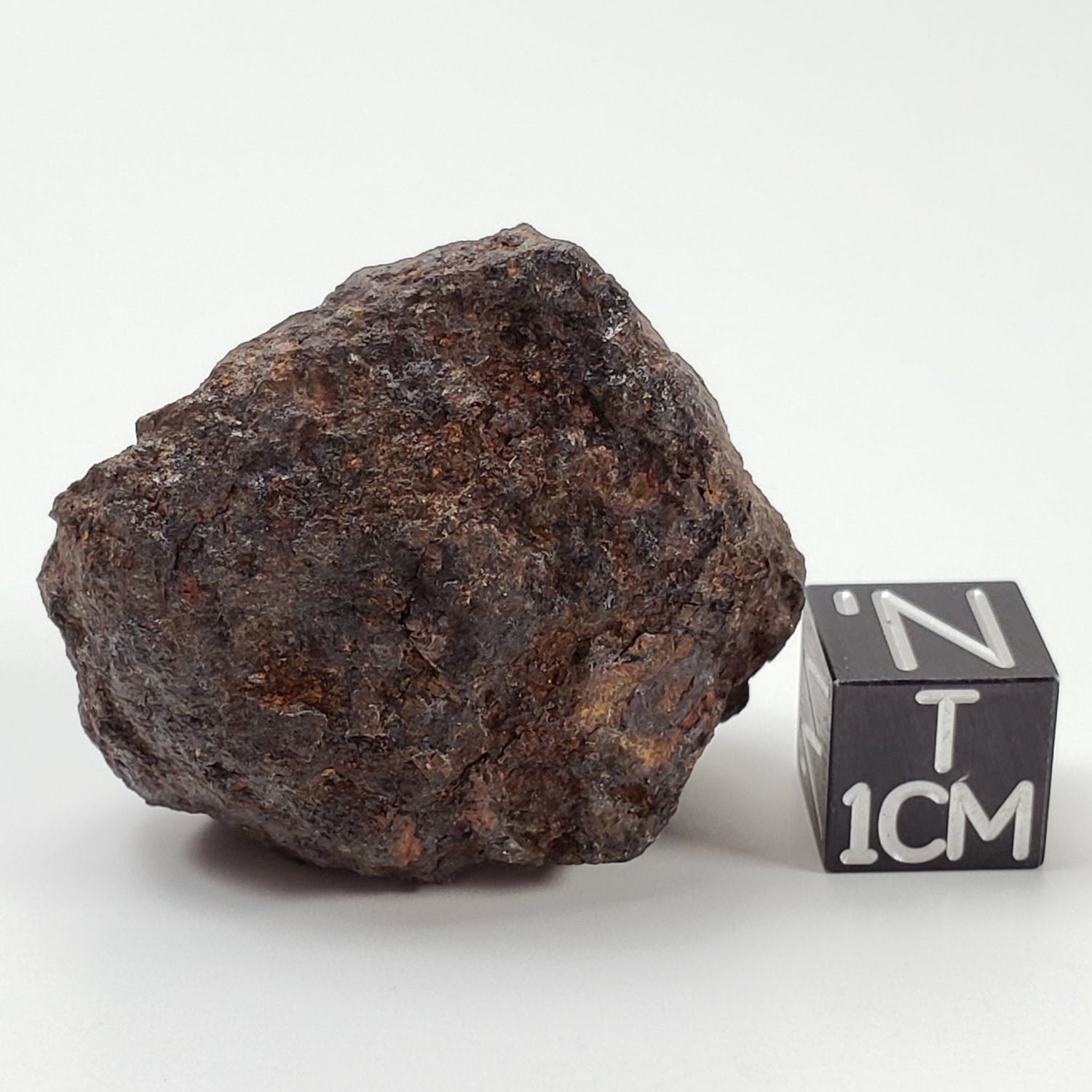  Vaca Muerta Meteorite | 40.52 Grams | Individual | Mesosiderite A1 | Chile 