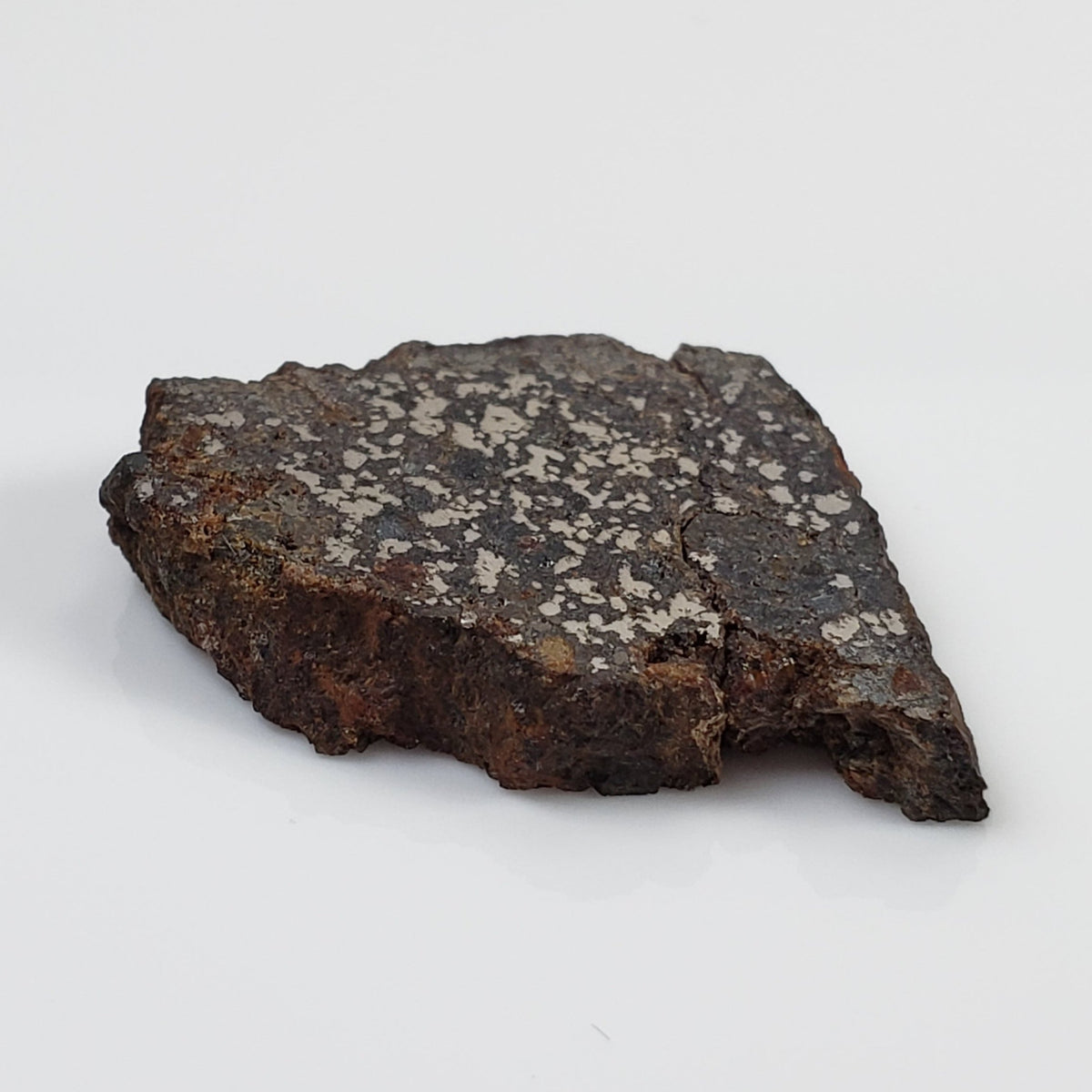  NWA 1879 Meteorite | 4.16 Gr | Part Slice | Found 2003 | Stony Iron Mesosiderite | Morocco 