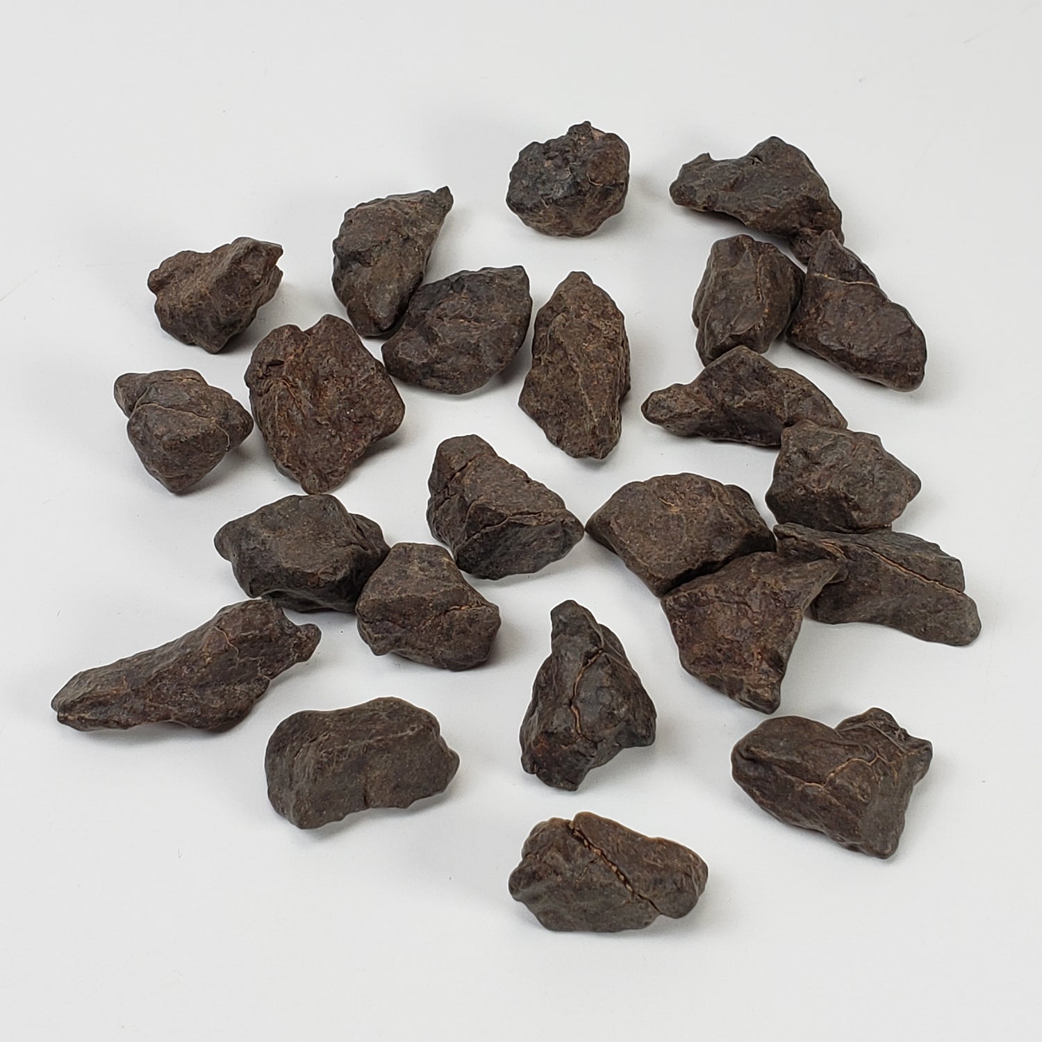 NWA 4293 Meteorite | 100 gram Lot | Individual | H6 Chondrite