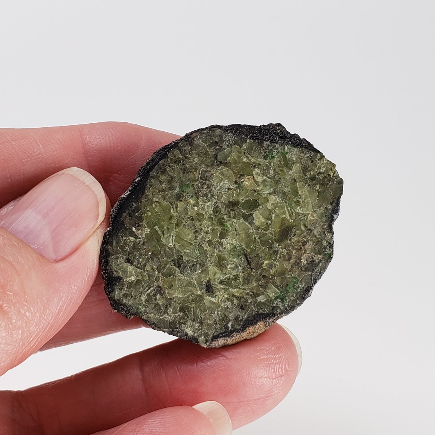 Olivine Volcanic Bomb | Lava Coated Crystal | 23 gr | Mt Shadwell Volcano, Australia