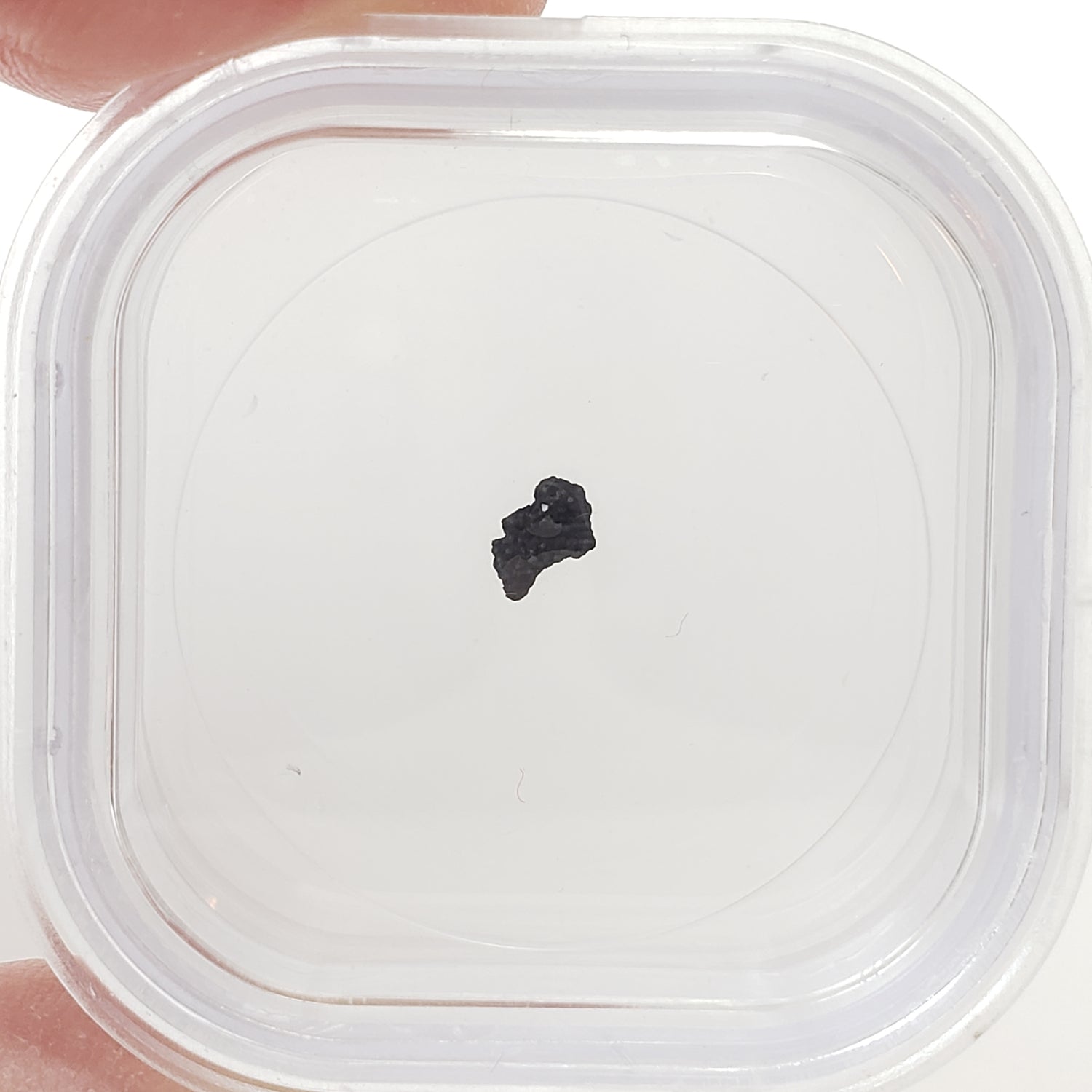 Tagish Lake Meteorite | 20 mg | Fragment | C2-ung Class | Observed Fall 2000 Canada