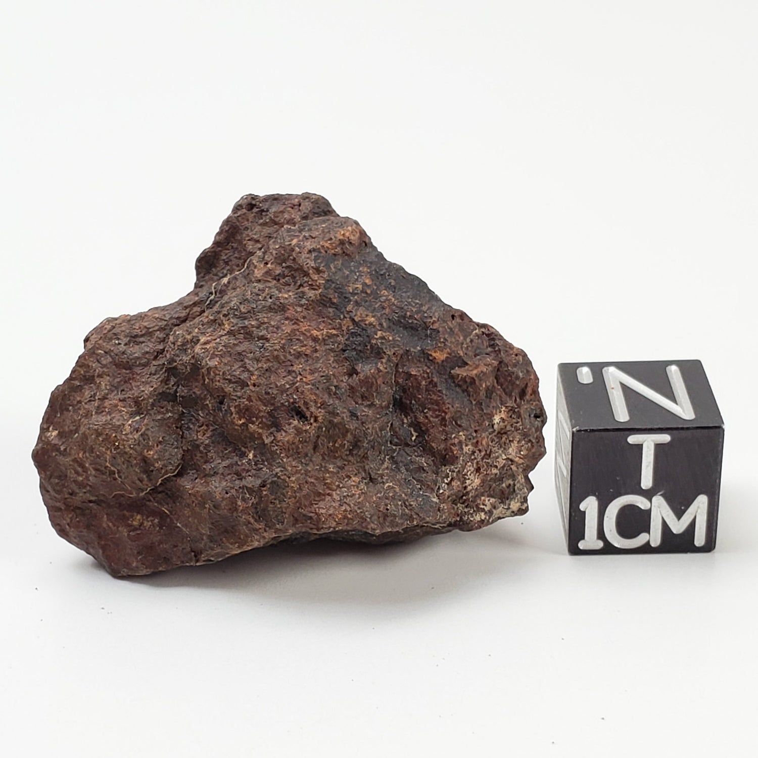 Dhofar 221 Meteorite | 15.38 Grams | Individual | L5 Shocked Chondrite | Sahara