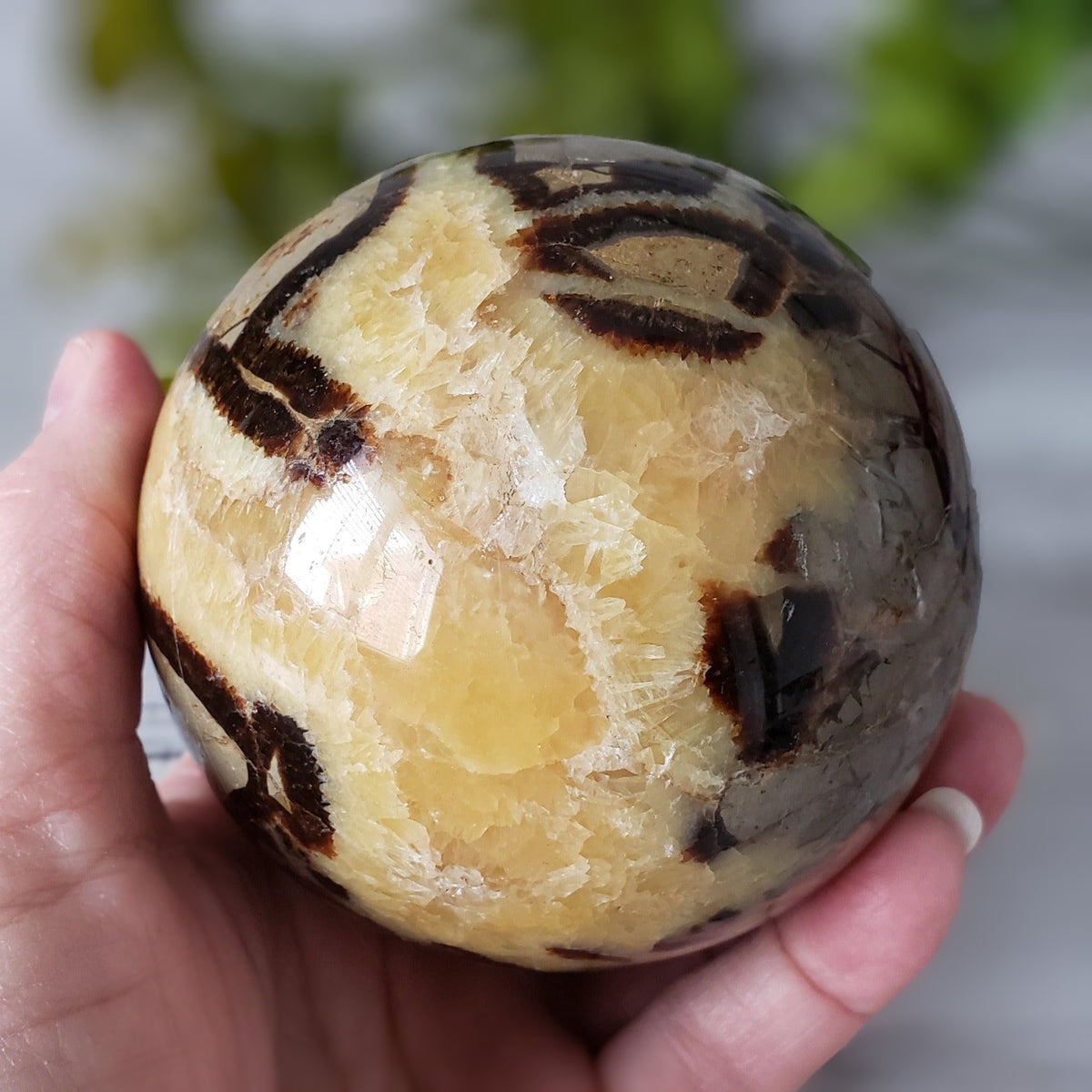 Septarian Calcite Sphere | 92 mm, 3.6 in | 1.09 kg