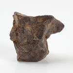 Northwest Africa NWA Meteorite | 8.4 Grams | Individual Fragment | Sahara