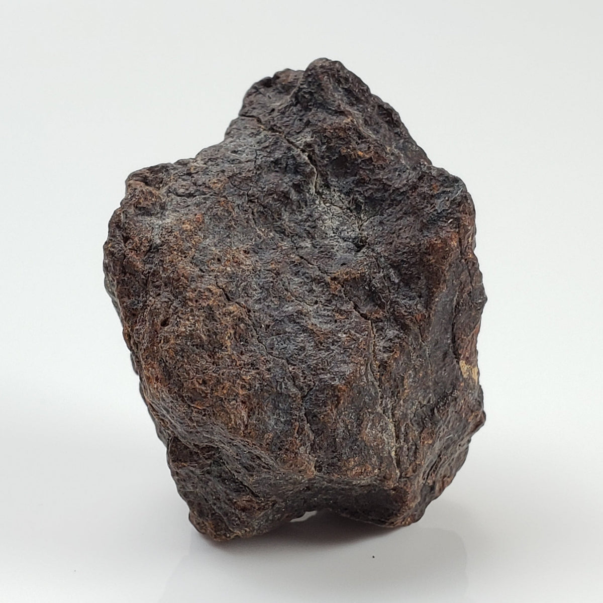  Dhofar 221 Meteorite 20.82 Grams Individual L5 Shocked Chondrite Sahara 