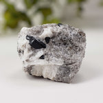  Natural Tourmaline on Quartz | Raw Schorl Crystal | 181.66 grams | Fitchburg, MA, USA 