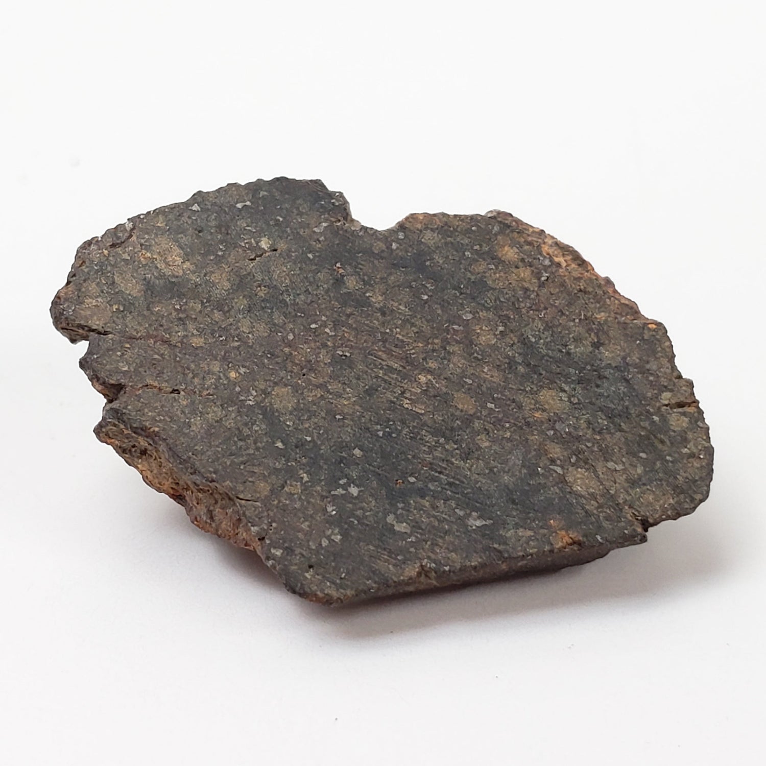 NWA 400 Meteorite | 3.65 Gr | End Cut | H5 Chondrite | Crusted | aka Oum Rokba | Morocco