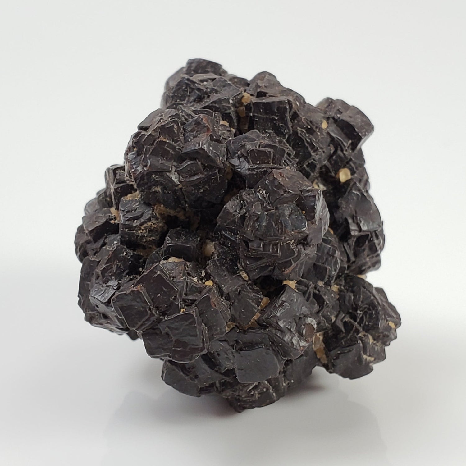 Pseudomorph Goethite After Marcasite | Prophecy Stone | 38 gr | Farafra Oasis, Egypt