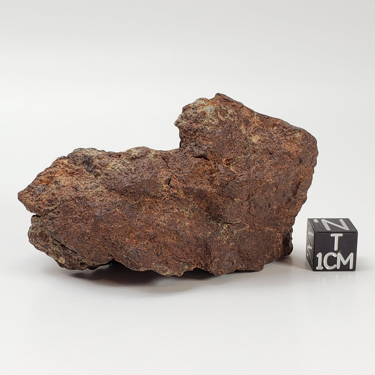 Northwest Africa NWA Meteorite | 121.6 Grams | Individual Fragment | Sahara