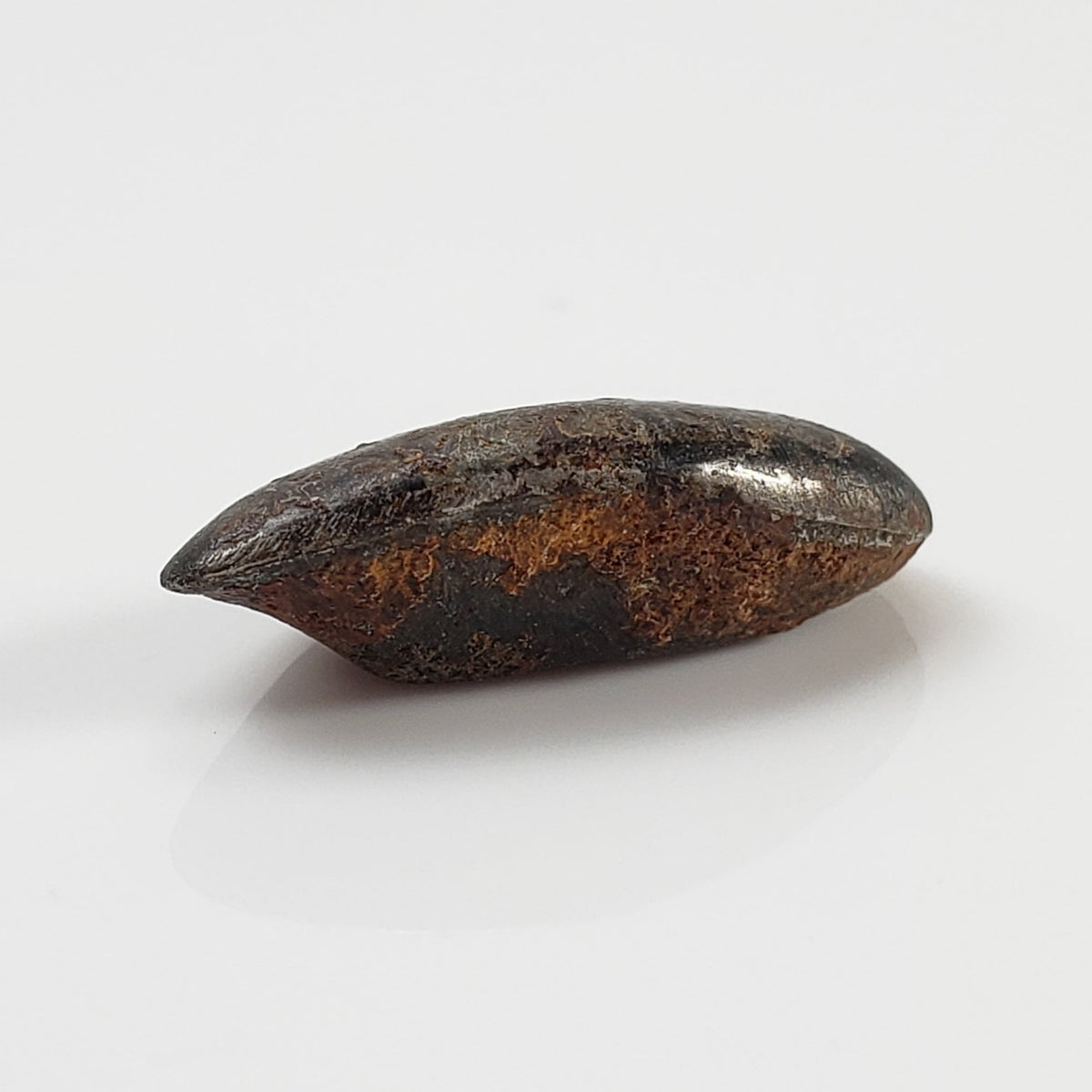  Taza Northwest Africa 859 Meteorite | 2.41 Gr | Oriented Bullet | Iron Ungrouped | Morocco 