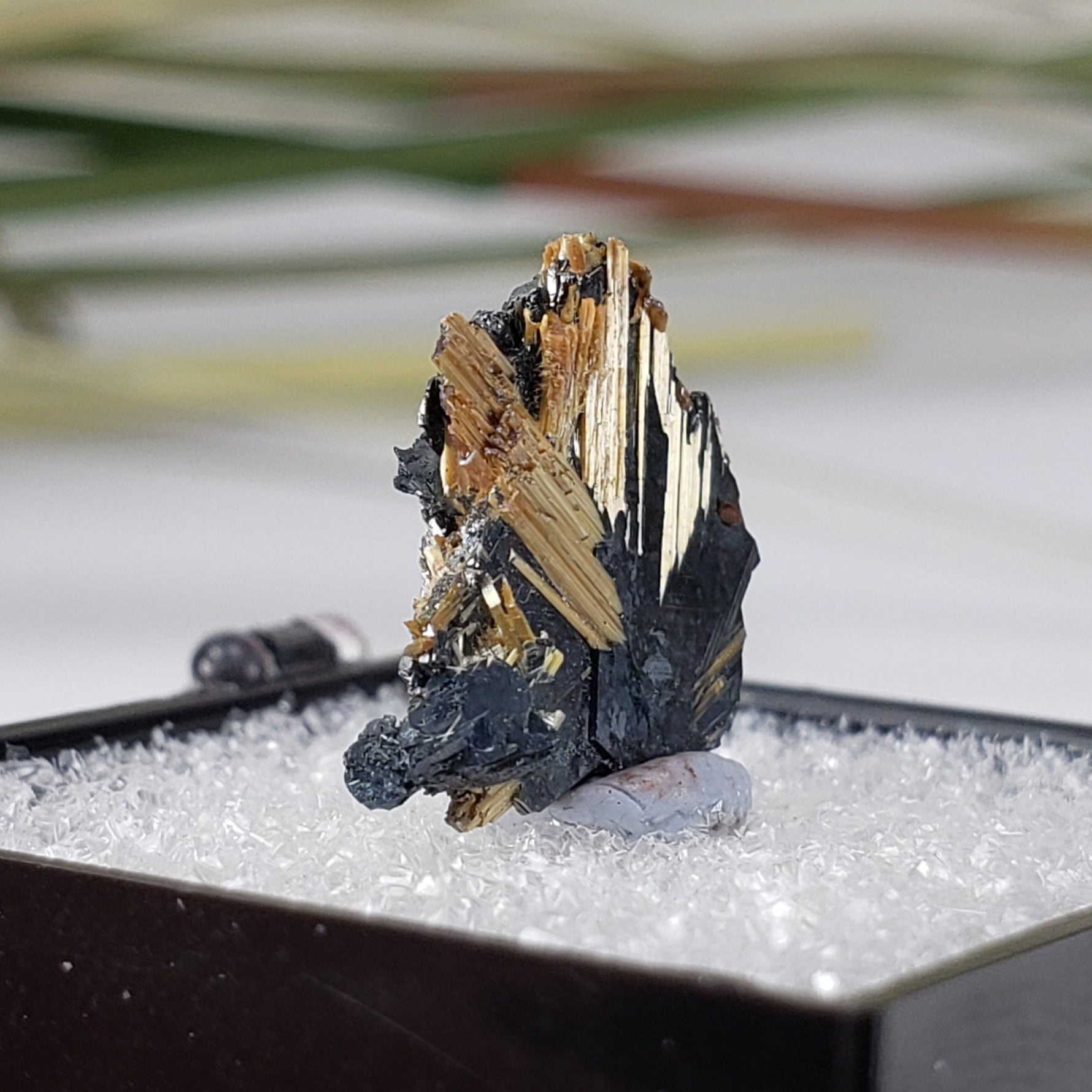  Rutile with Hematite Thumbnail Specimen from Brazil 