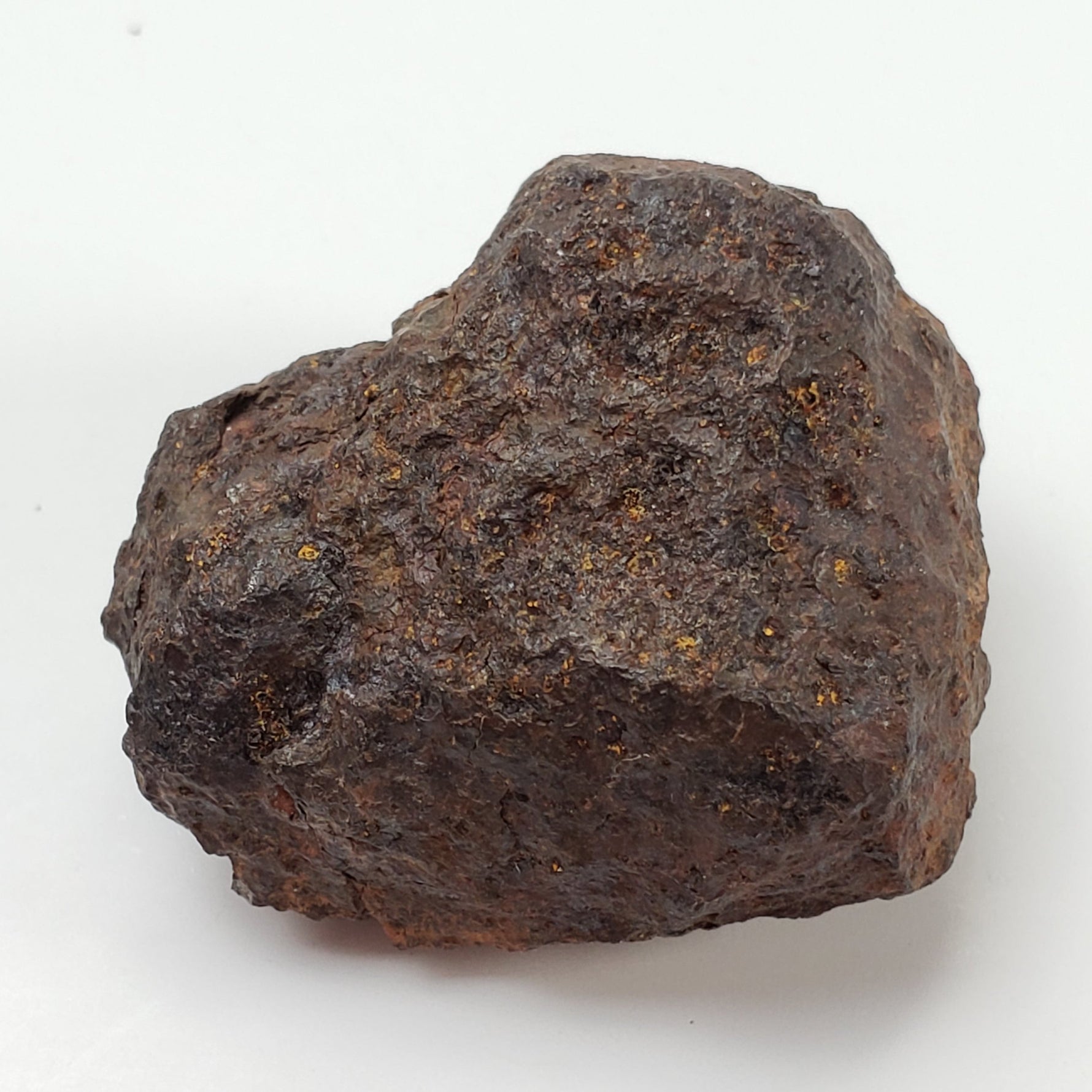 Vaca Muerta Meteorite | 40.52 Grams | Individual | Mesosiderite A1 | Chile