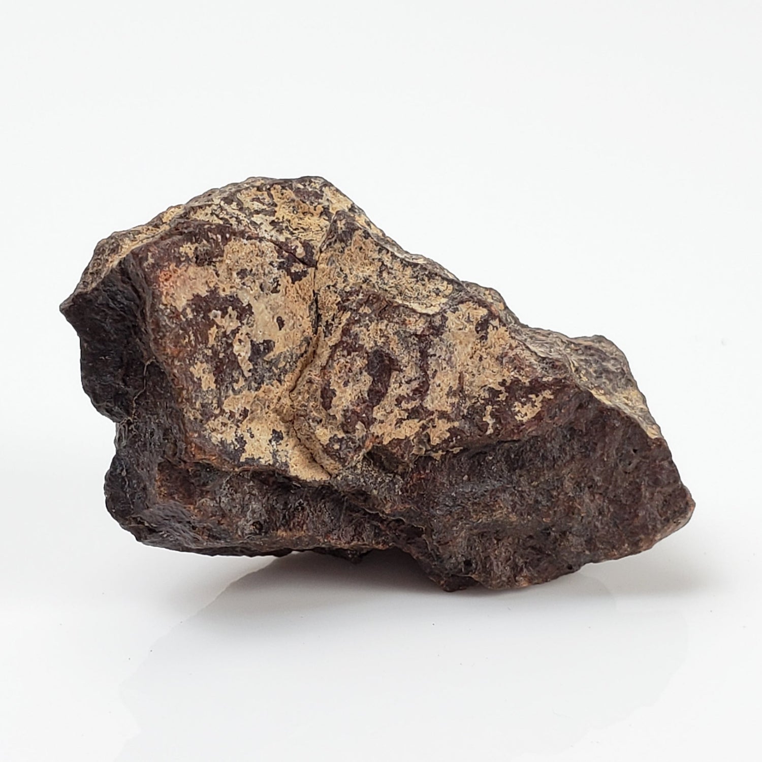 Dhofar 221 Meteorite | 8.58 Grams | Individual | L5 Shocked Chondrite | Sahara