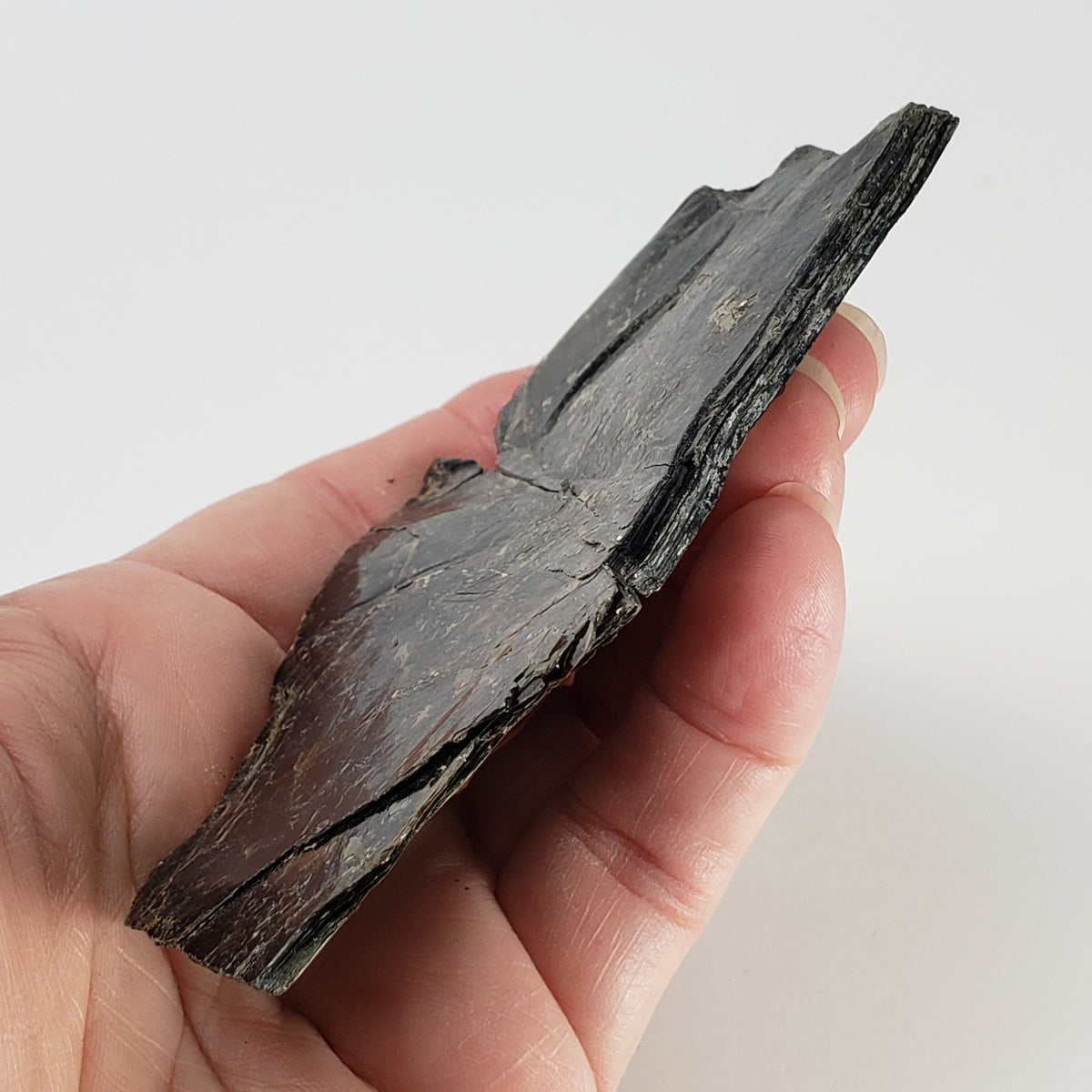   Biotite Mica Book | Black Crystal | 48.8 Grams | Ontario, Canada 