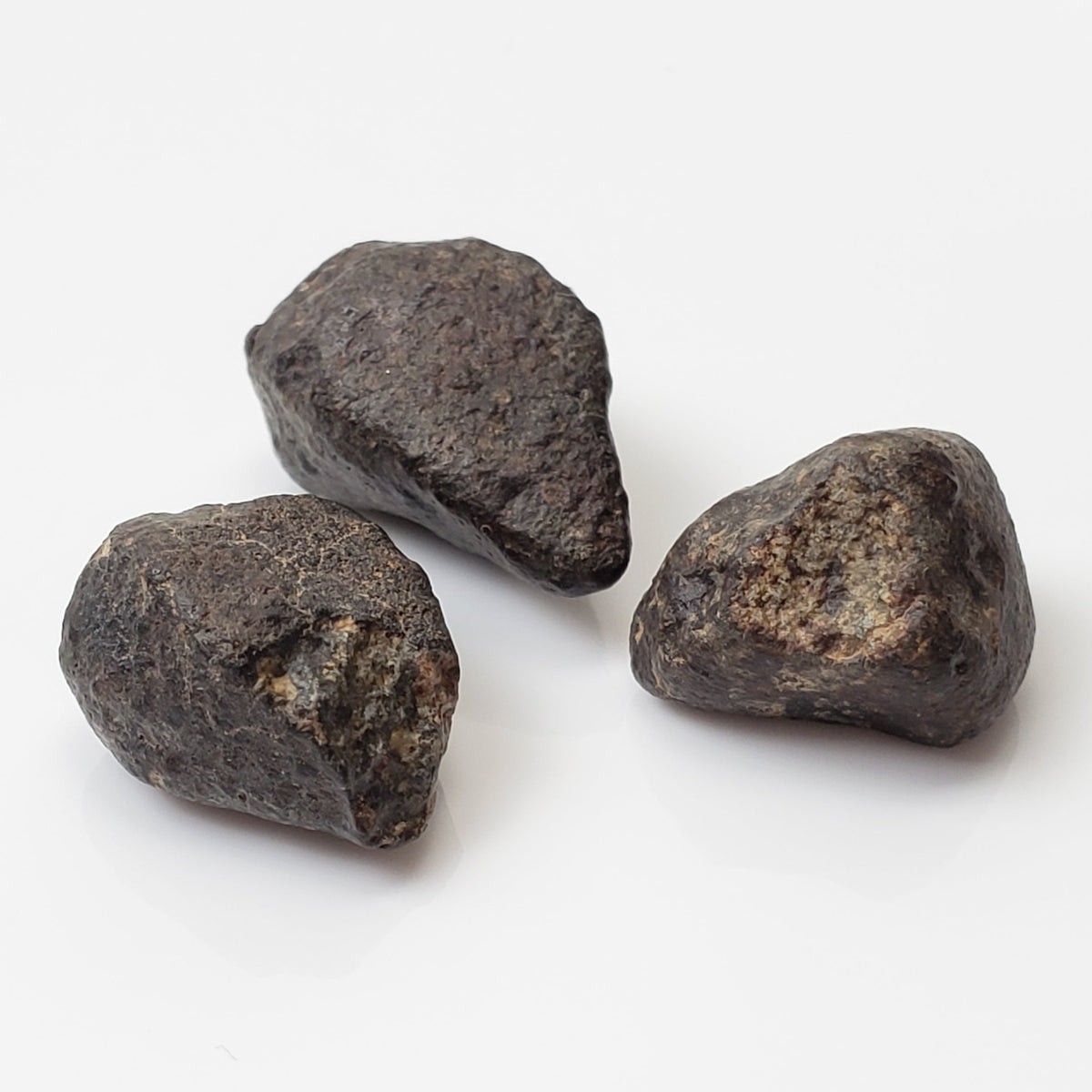 NWA 869 Meteorite | 3 Piece Lot | 8.1 Gr | Individual | L3-6 Chondrite | Crusted Specimen