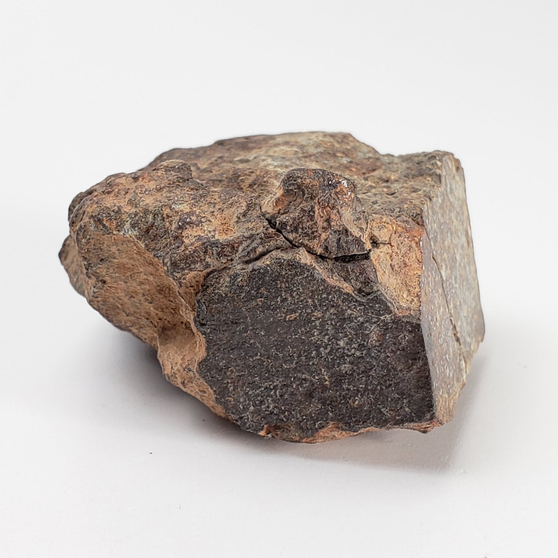 Northwest Africa NWA Meteorite | 52.7 Grams | Individual Cut Fragment | Sahara