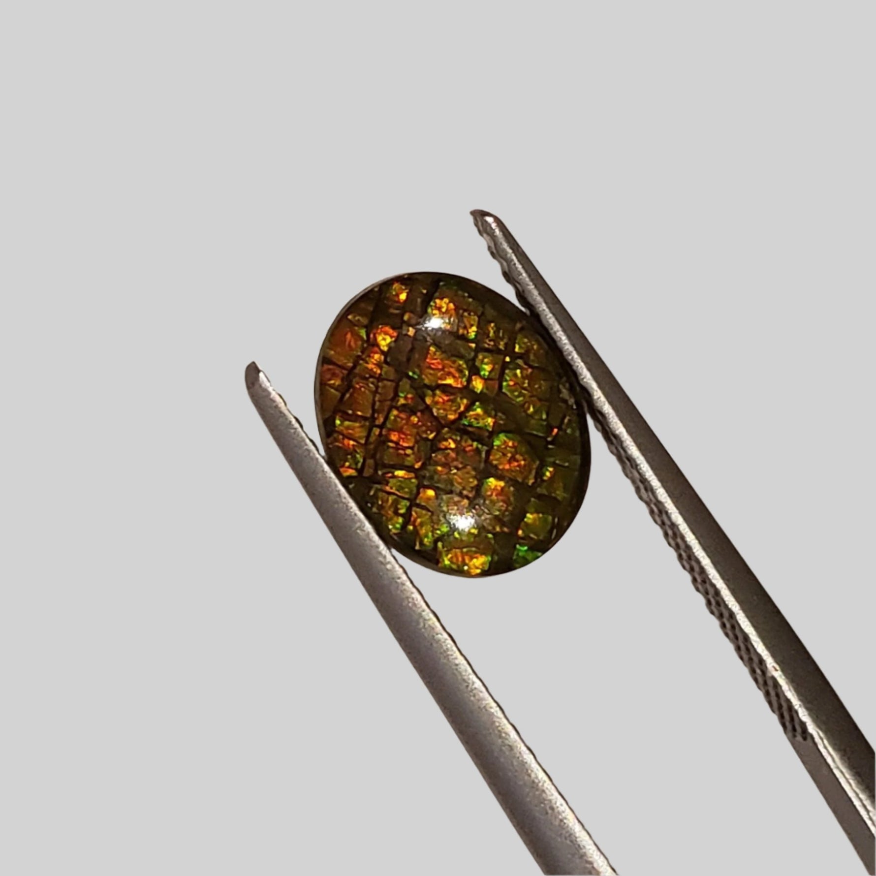 Ammolite Gem | Ammonite | Oval Cabochon | 10x8mm | Canada