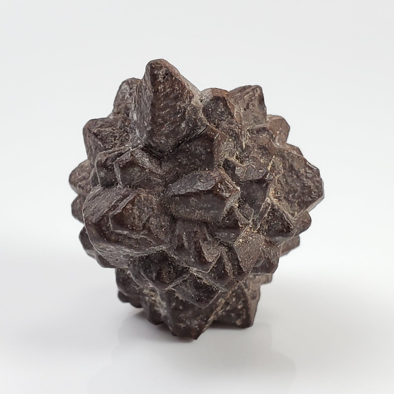 Pseudomorph Goethite After Marcasite | Prophecy Stone | 17 gr | Farafra Oasis, Egypt