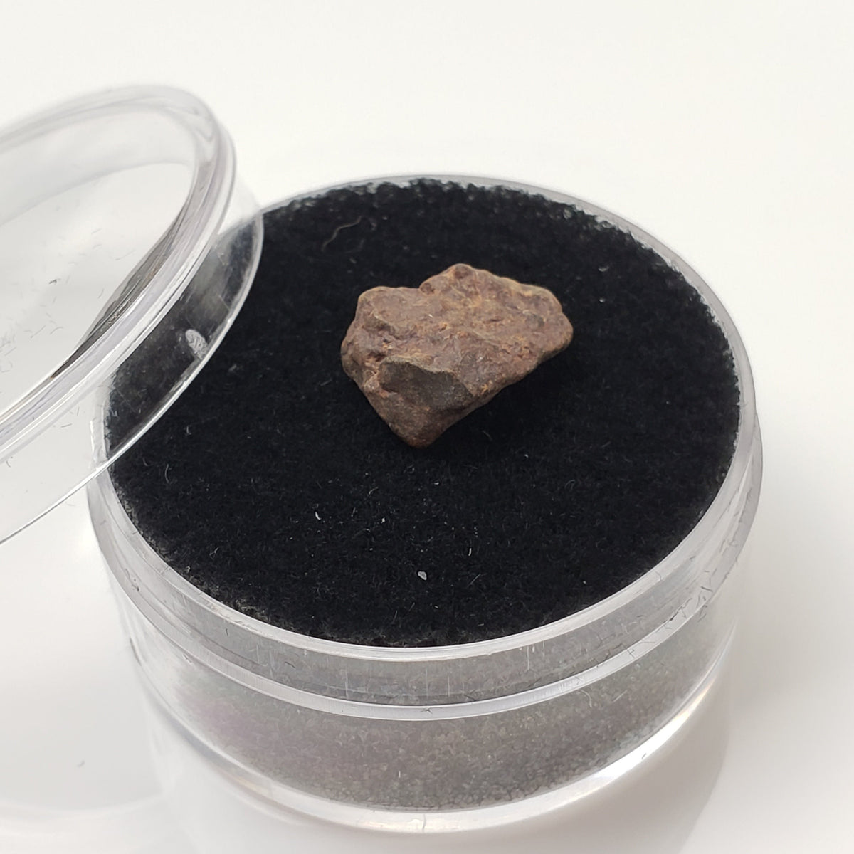 NWA 4293 Meteorite | Micro Specimen Individual | H6 Chondrite | Gem Jar