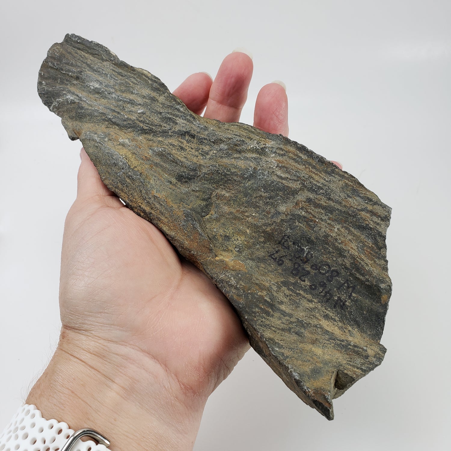 Shatter Cone | 850 grams |  Impactite | Sudbury Impact Structure | Ontario, Canada