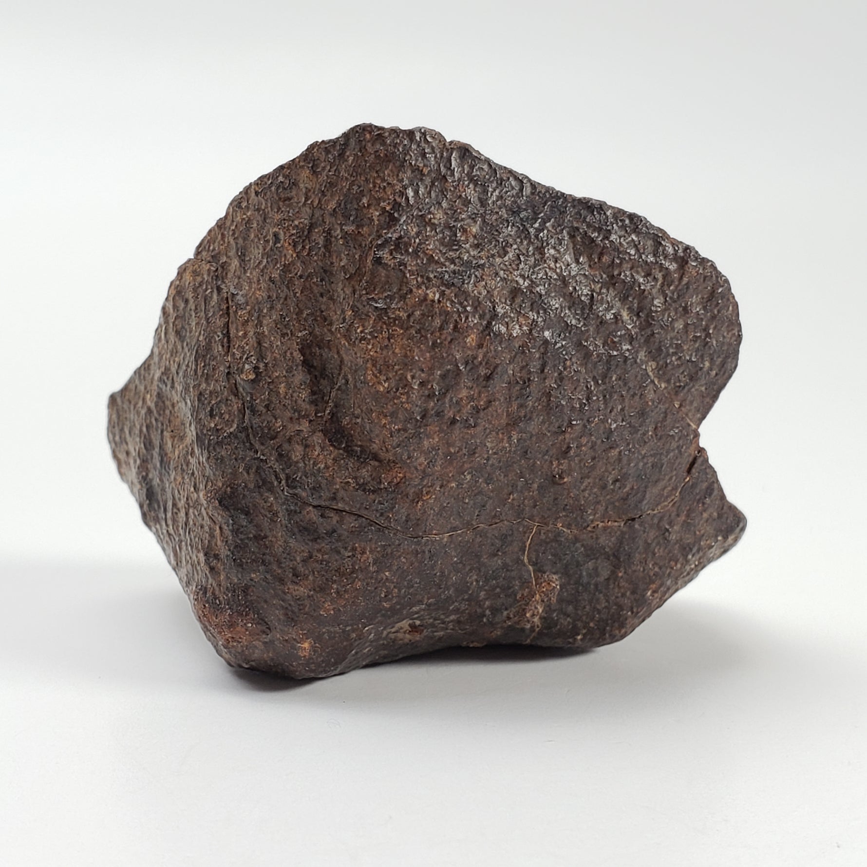 Northwest Africa NWA Meteorite | 44.5 Grams | End Cut | Sahara