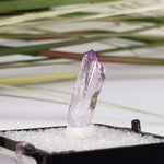  Amethyst | Perky Box Thumbnail Specimen | Veracruz, Mexico 