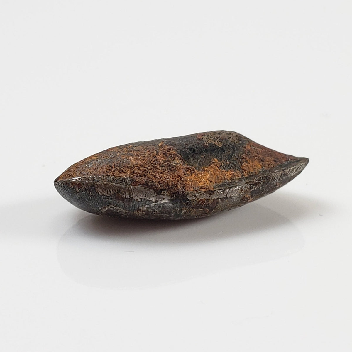  Taza Northwest Africa 859 Meteorite | 2.41 Gr | Oriented Bullet | Iron Ungrouped | Morocco 