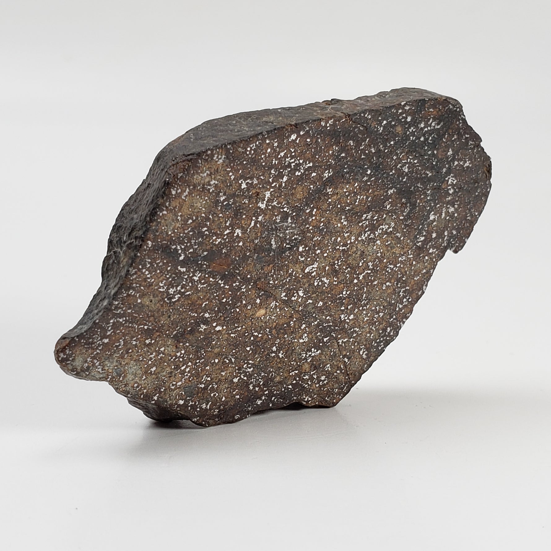 Northwest Africa NWA Meteorite | 44 Grams | End Cut | Sahara
