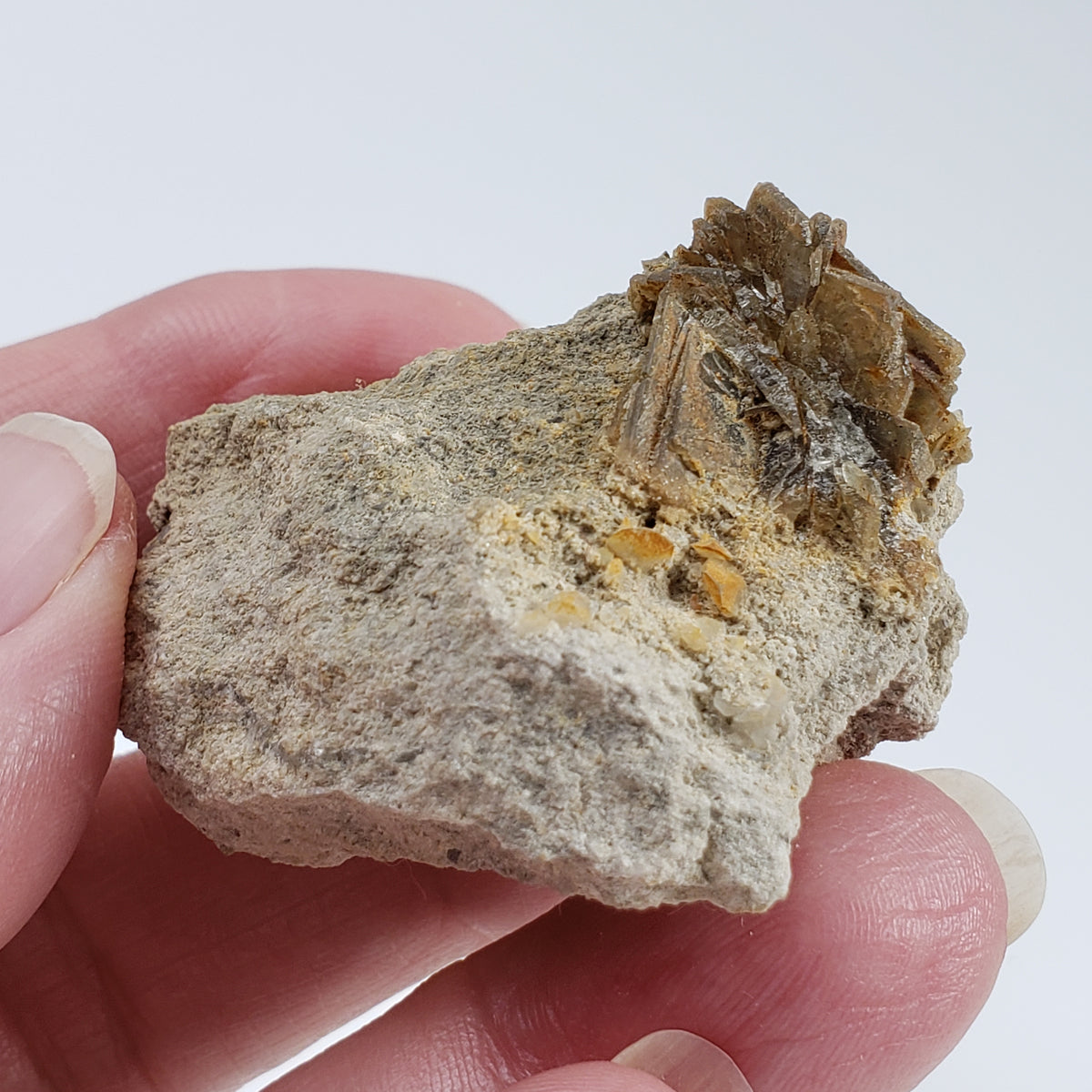 Barite Blades on Matrix | 37.4 gr | Campinas Grande, Pernambuco, Brazil