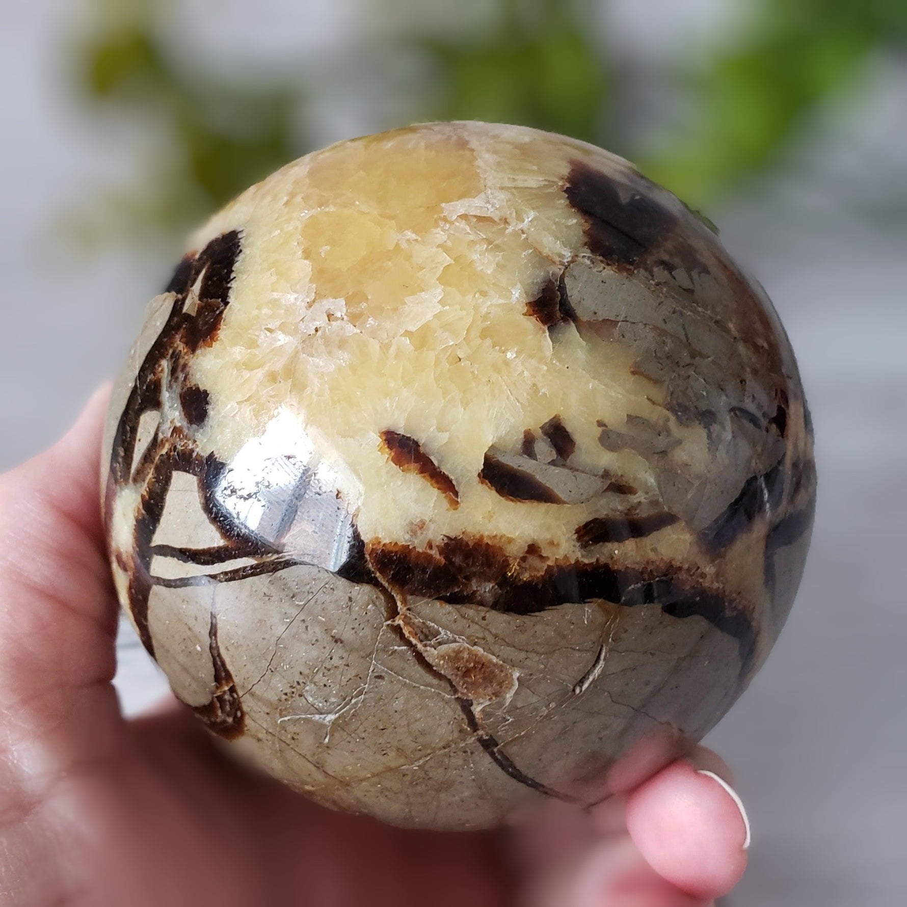 Septarian Calcite Sphere | 92 mm, 3.6 in | 1.09 kg