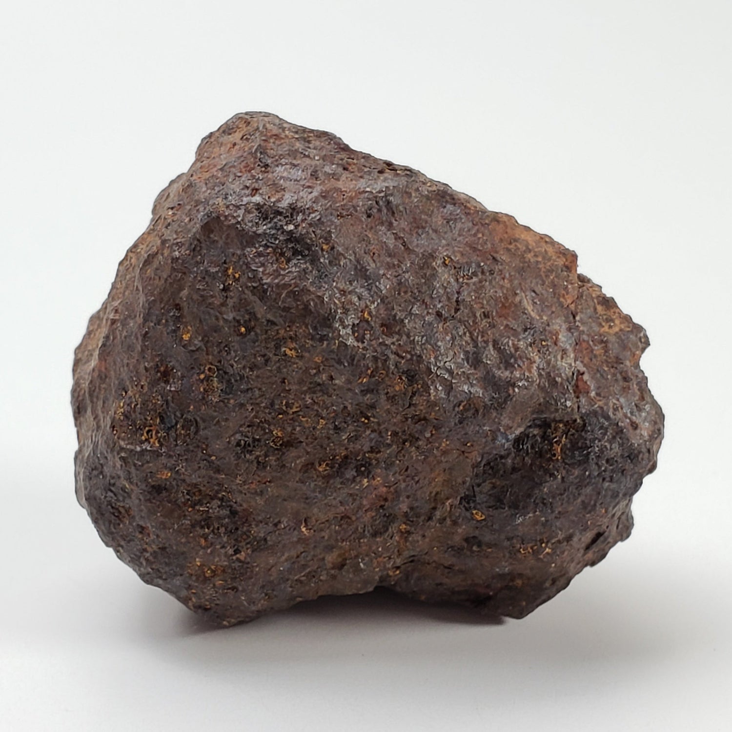  Vaca Muerta Meteorite | 40.52 Grams | Individual | Mesosiderite A1 | Chile 