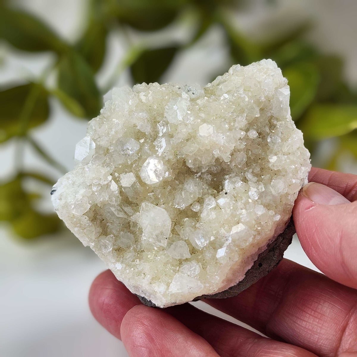  Apophyllite Cluster Crystal 137 grams from Mumbai, India 