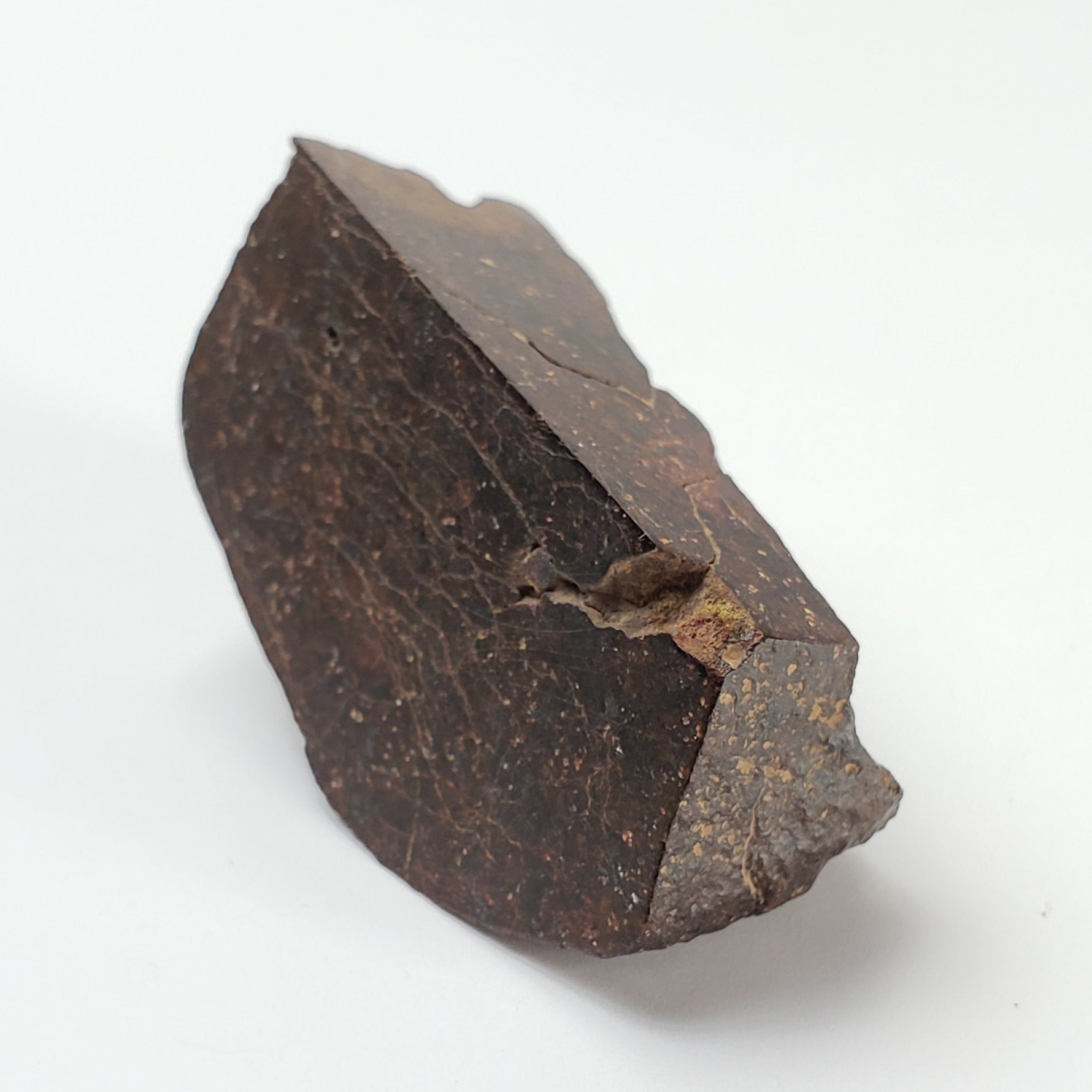 Dhofar 947 Meteorite | 38.40 Gr | Quarter Stone | L5-6 Chondrite | Rare Low TKW