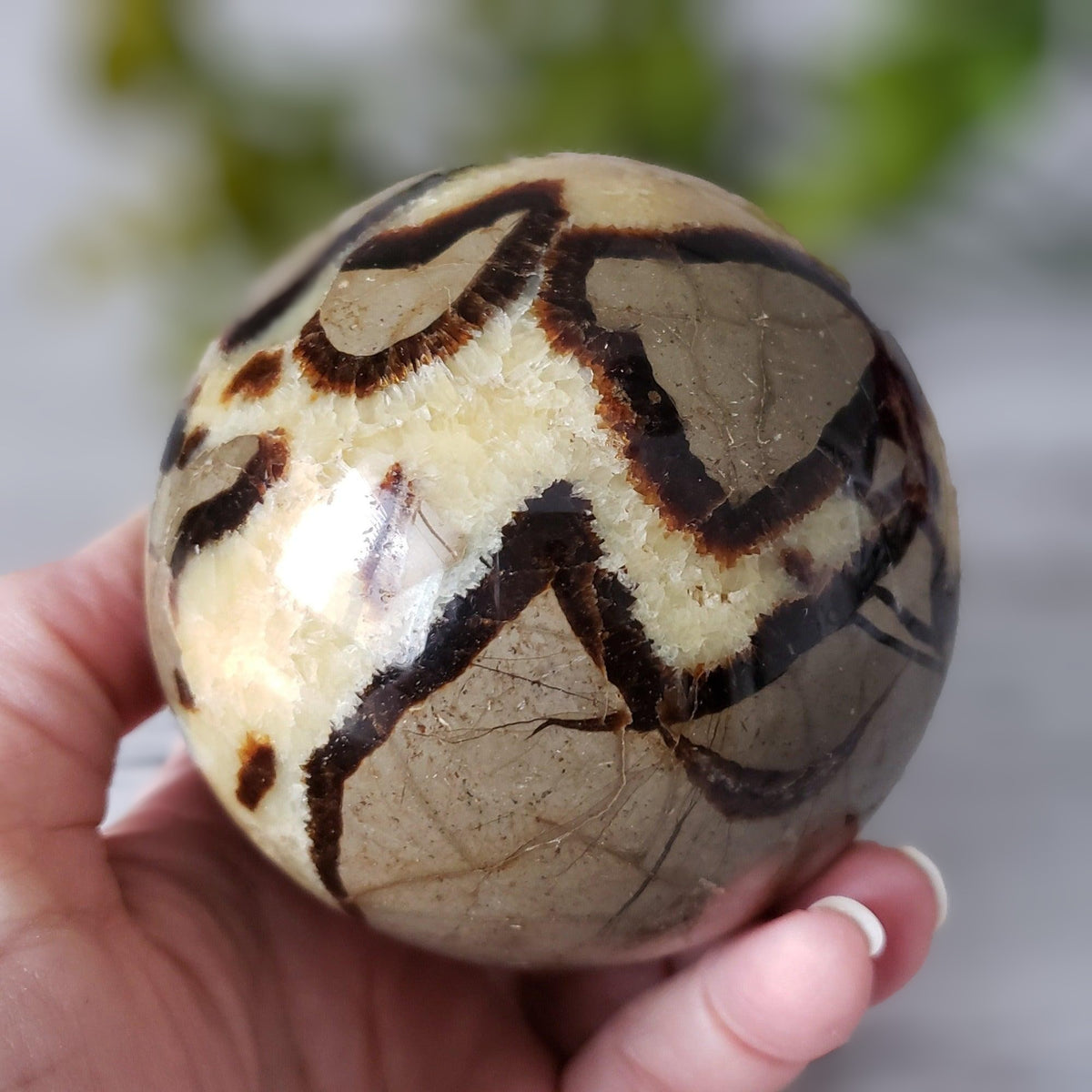 Septarian Calcite Sphere | 92 mm, 3.6 in | 1.09 kg