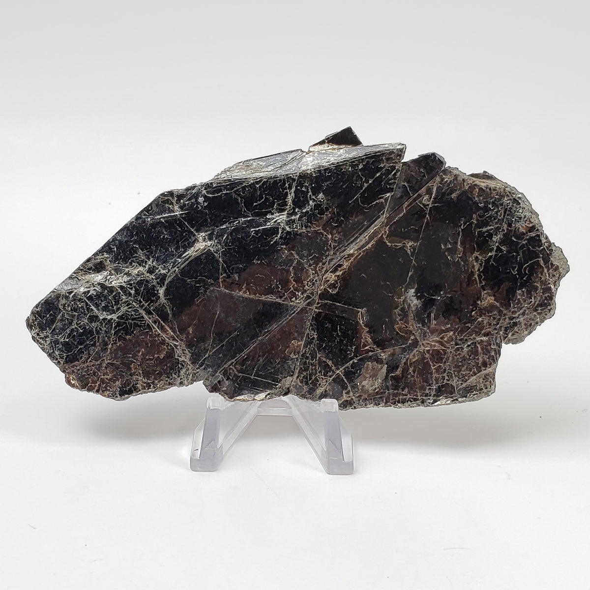  Biotite Mica Book 50 Grams from Ontario, Canada 