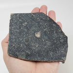 Black Onaping | 191 Grams | Impactite Breccia Slice | Sudbury Structure, Canada