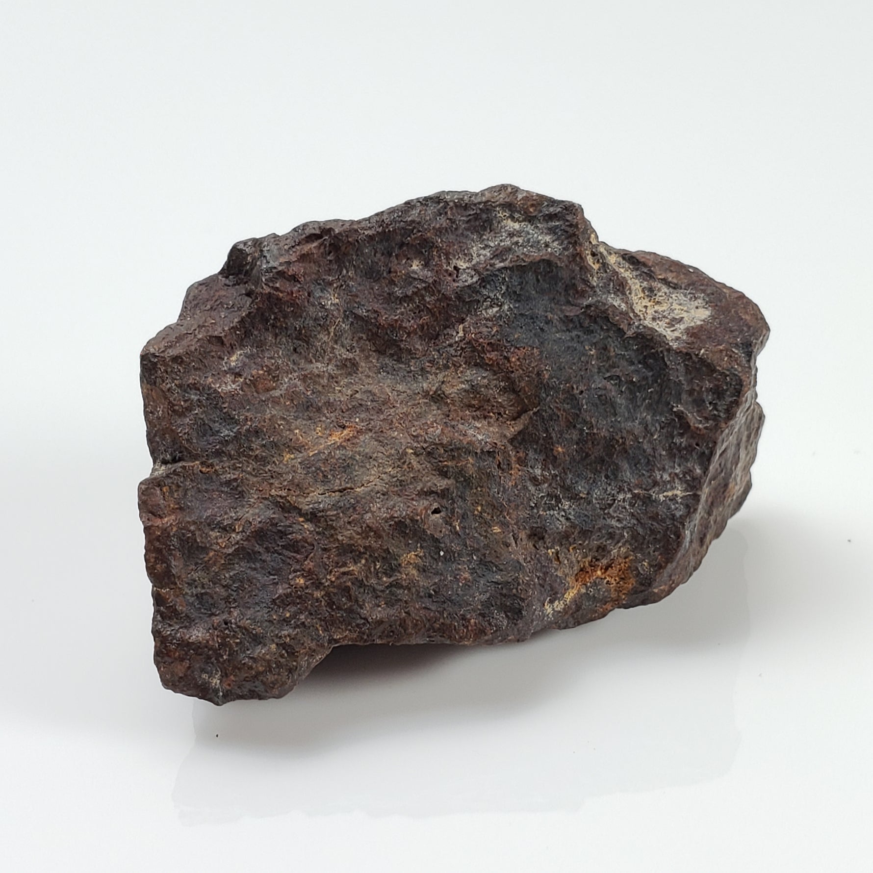 ChondriteDhofarDhofar 221MeteoritesCanagem.com