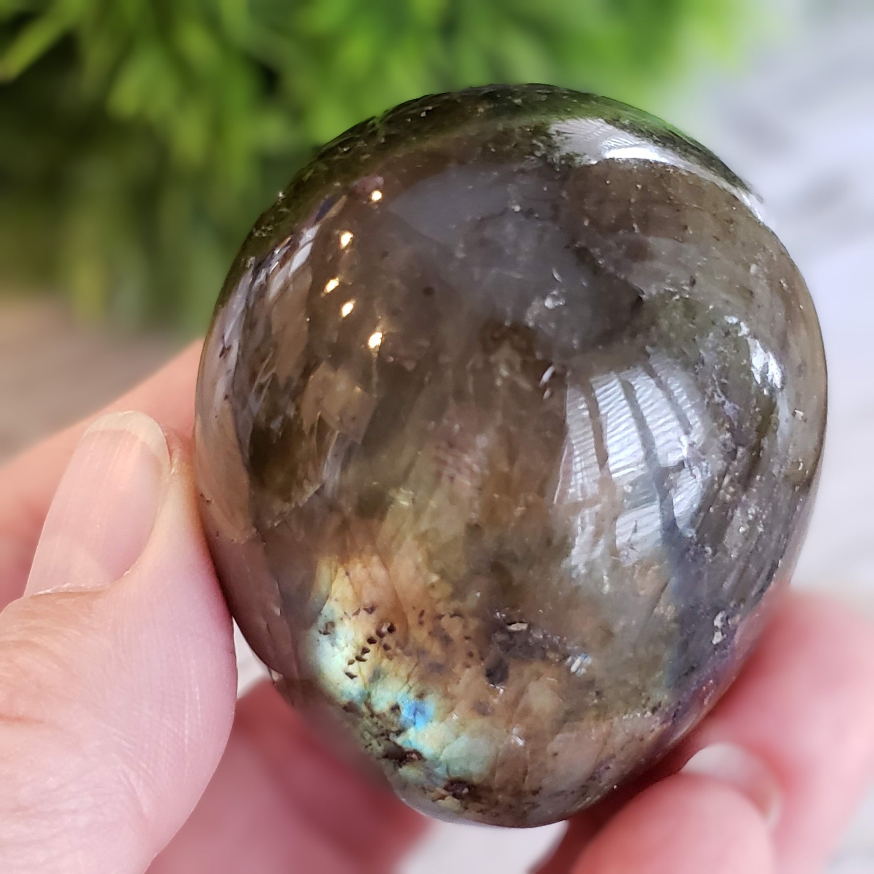  Labradorite Egg Natural Gray Rainbow 160 gr from Madagascar 